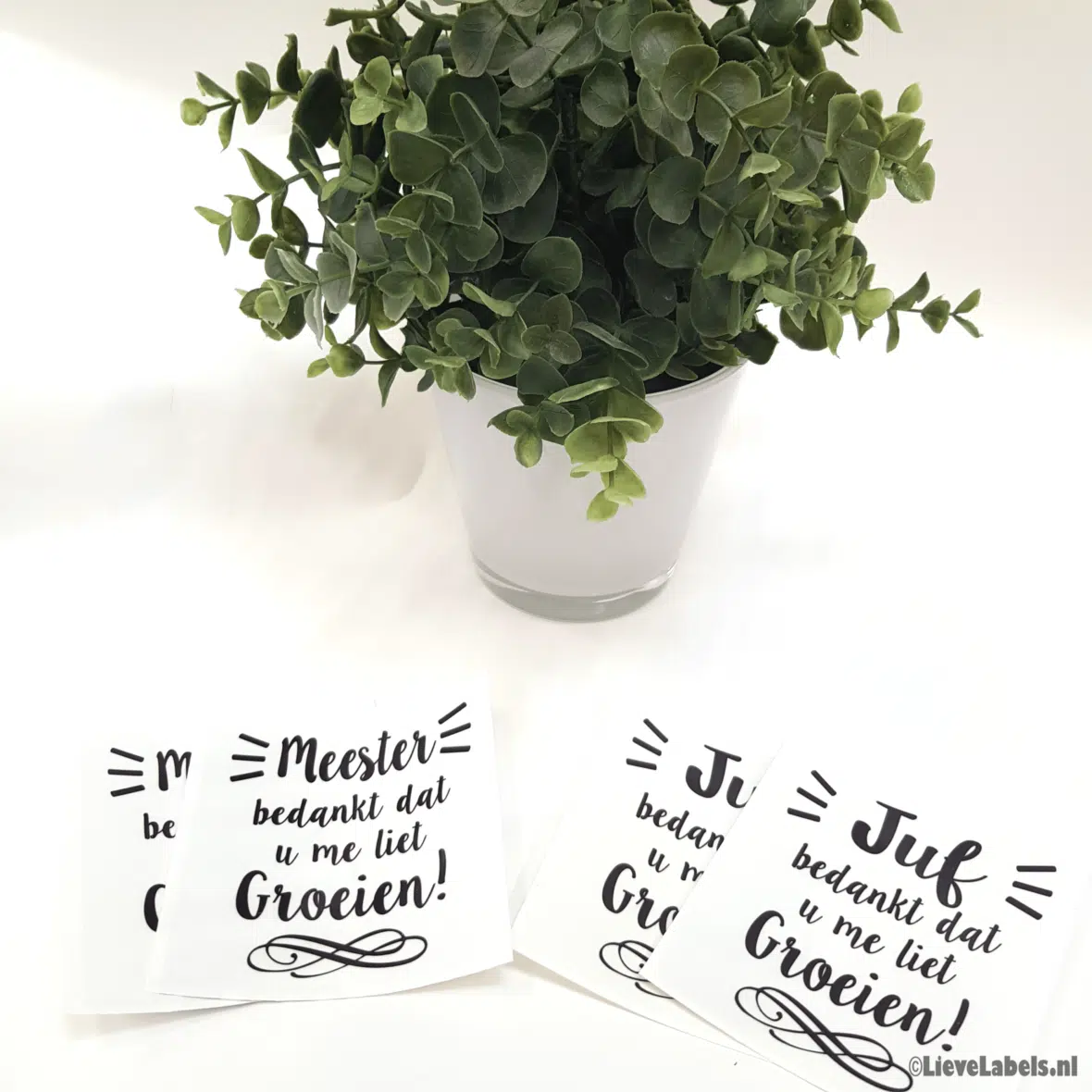 Bloempot sticker – Bedankt dat u me liet groeien