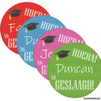 Raamsticker - Geslaagd