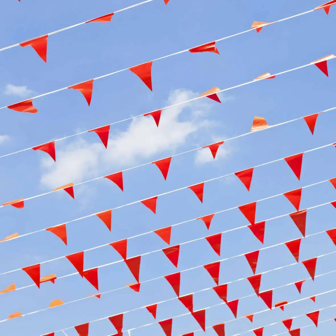 Orange flags # 5 XXXL