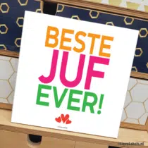 Tegeltje - Beste Juf