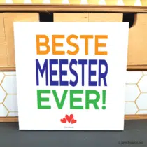 Tegeltje - Beste meester