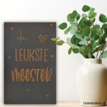 Tekstbord - De leukste meester