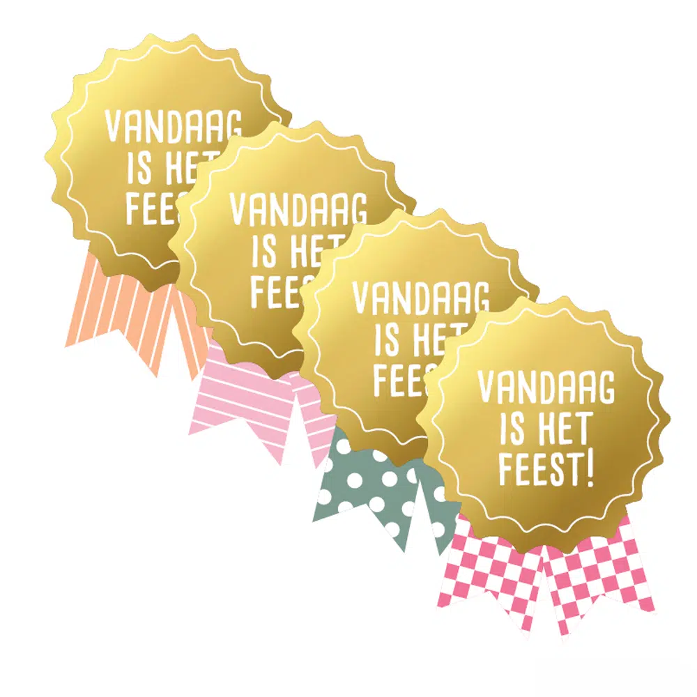 Stickers – Vandaag is het feest | 10 stuks