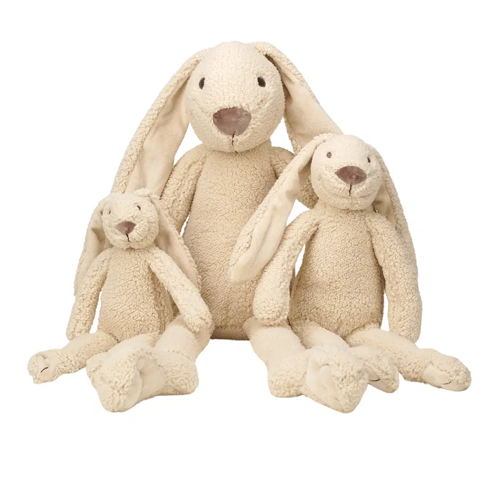 HH-Teddy-Richies