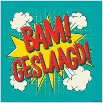 Statische Raamsticker - BAM Geslaagd!