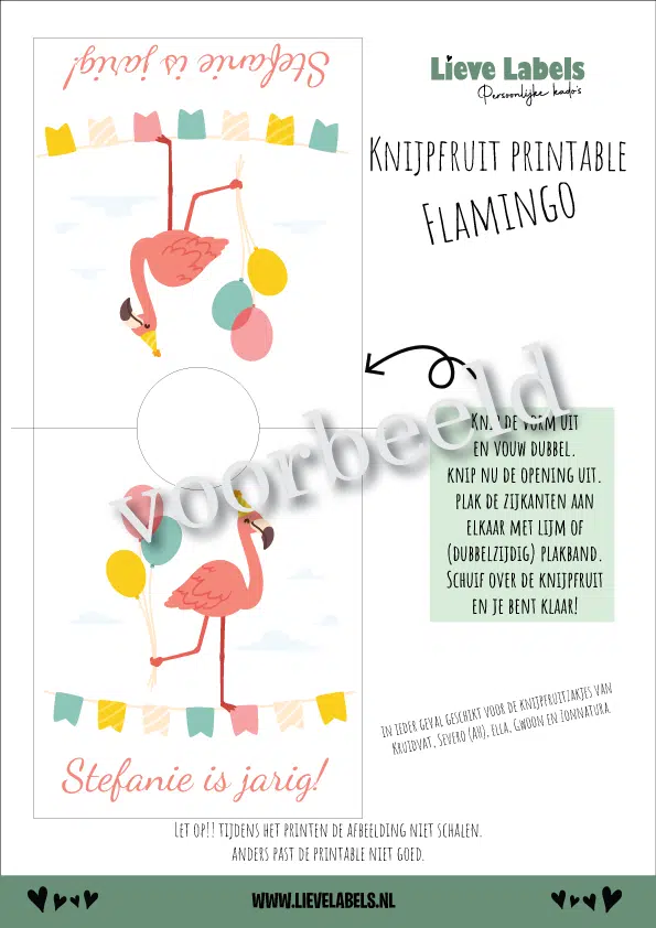 Knijpfruit-Flamingo