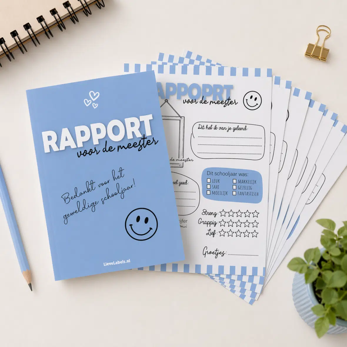 Rapport voor de meester – invulkaarten (set van 20)