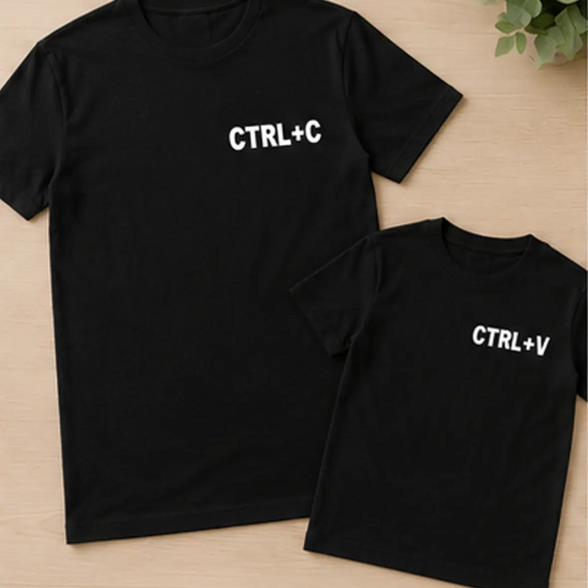 CTRLCV2